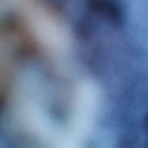 Meet your Posher, Stephen